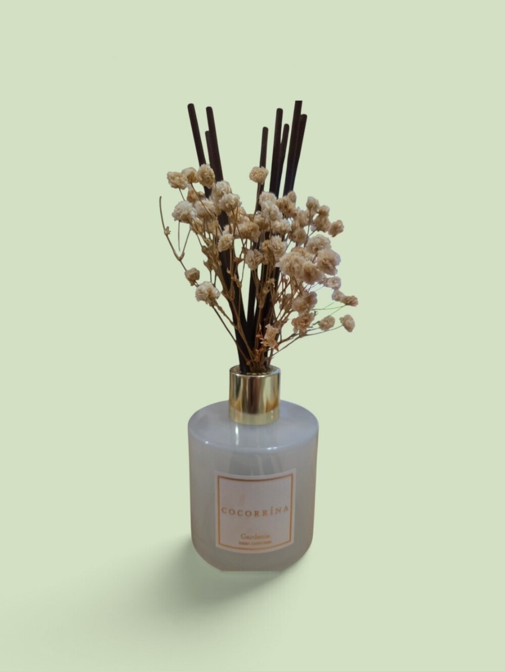 Cream Reed Diffuser with Dried Flowers ( Empty)